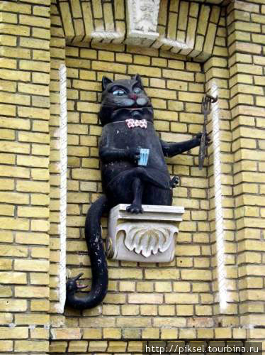 Такой был кот — Бегемот.  Взято из интернета Киев, Украина