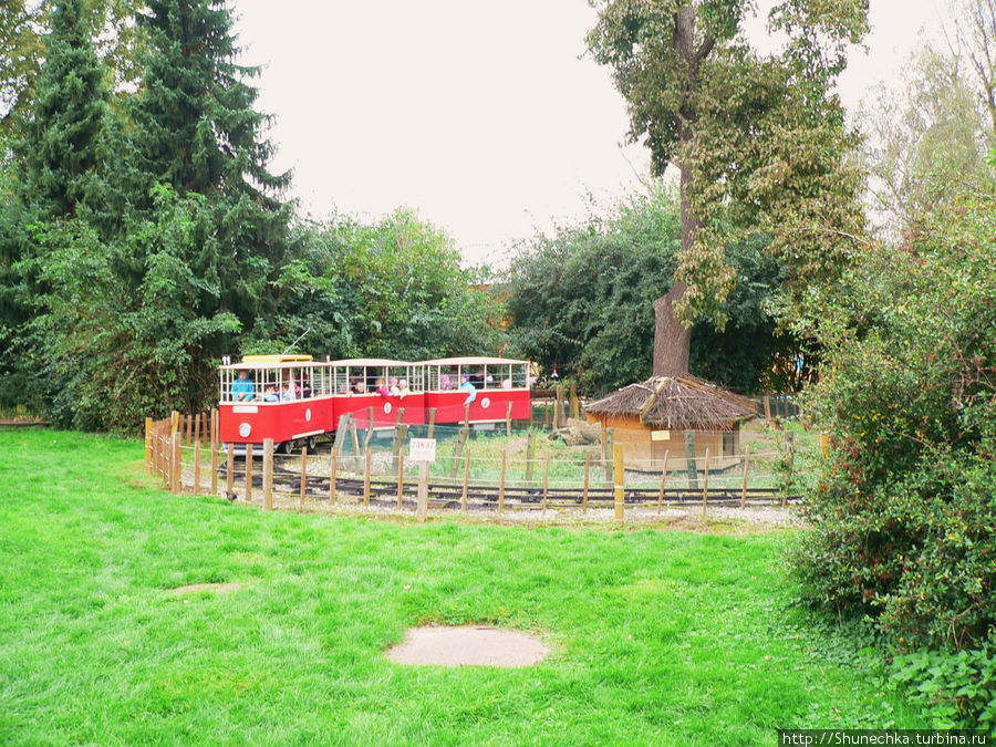 Детский поезд в зоопарке Прага, Чехия