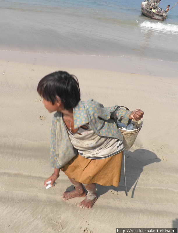 Фотосессия одной ракушки Нгапали, Мьянма
