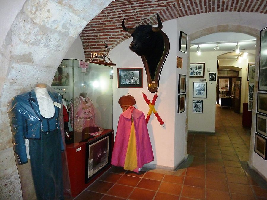 Музей корриды Саламанка, Испания