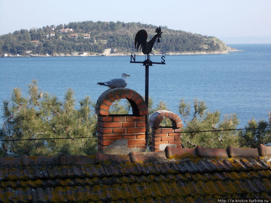 Остров Буюкада рядом со Стамбулом Остров Буюкада, Турция
