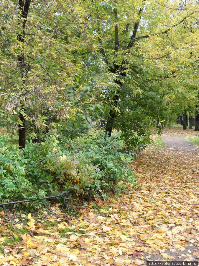 Осенние краски Екатерингофа Санкт-Петербург, Россия