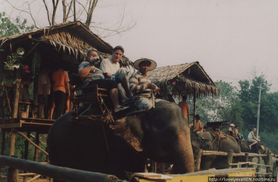 Катание на слонах. Таиланд