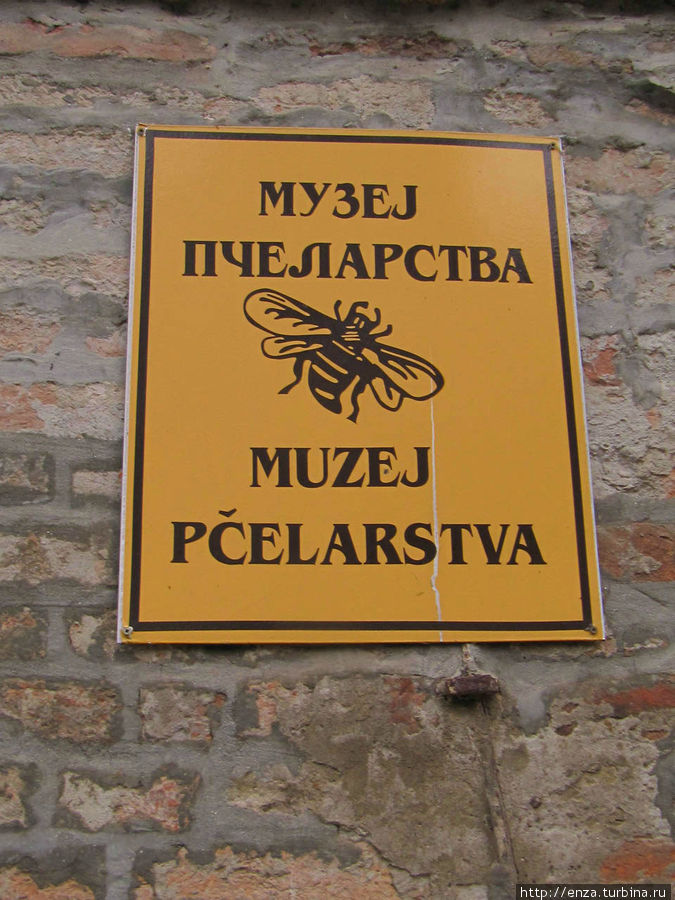 Музей пчеловодства и винный погреб семьи Живанович Сремски-Карловци, Сербия