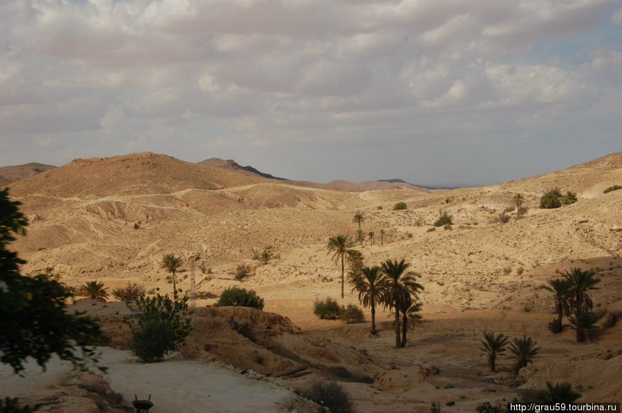 Дорога к Сахаре. Тунис