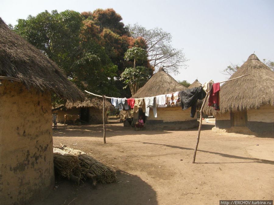 Остановка Провинция Маму, Гвинея