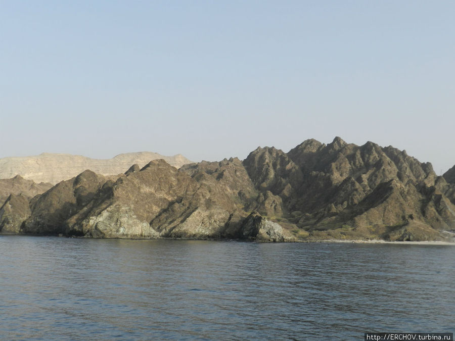 Круиз на доу вдоль побережья Маскат, Оман