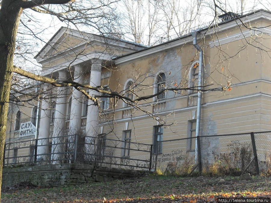 Поздняя осень Новознаменского парка Санкт-Петербург, Россия