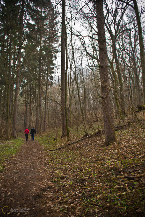 Шаровский парк Шаровка, Украина