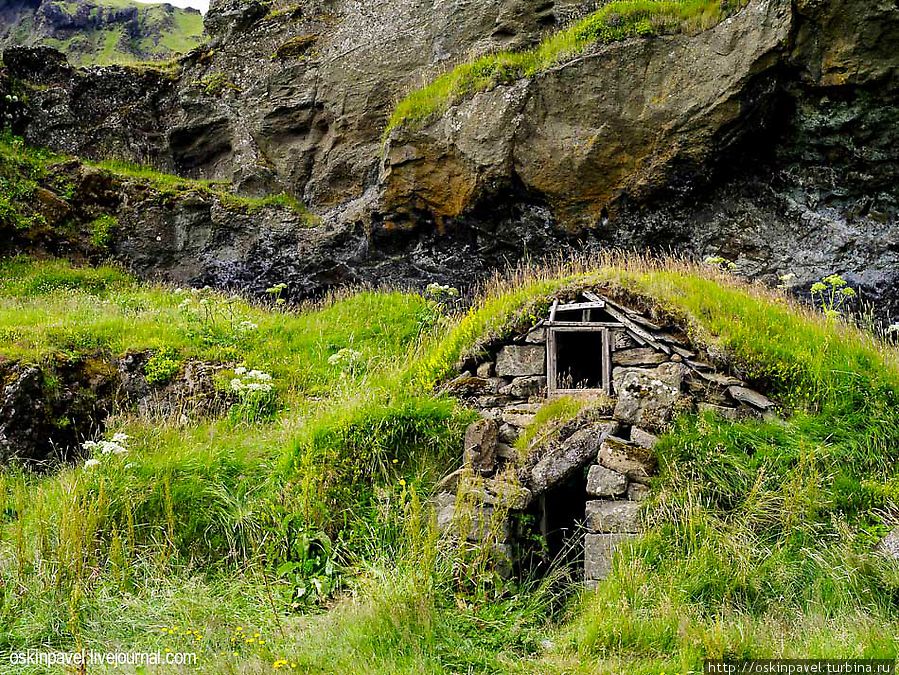 Фотоприключения в Исландии. Птицы Вик, Исландия