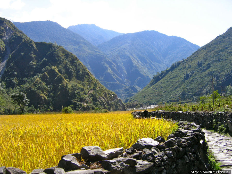 Трек вокруг Аннапурны:  к горячим источникам Татопани Татопани, Непал