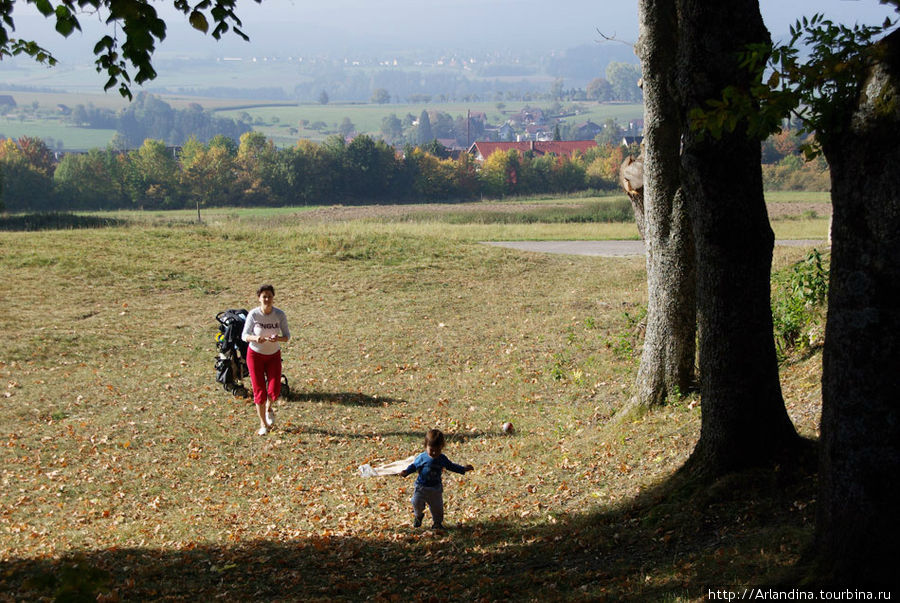Осень, Швацвальд, полуденные тени... Земля Баден-Вюртемберг, Германия