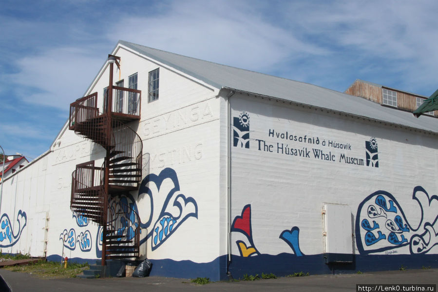 музей китов Хусавик, Исландия