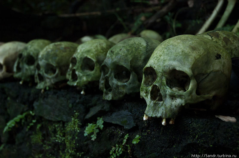 Покойники из Труняна Бали, Индонезия