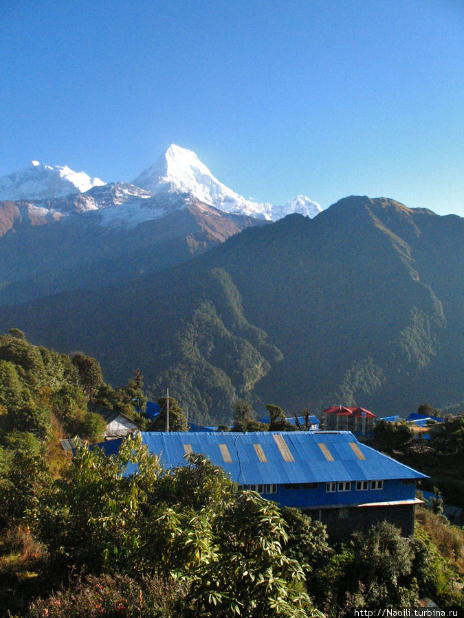 Трек вокруг Аннапурны:  встреча рассвета на Пун Хилл Горепани, Непал