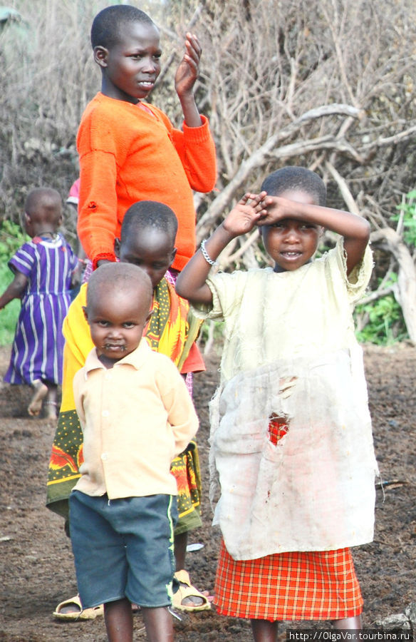 Сначала я не могла понять, что в углоках рта этого малыша, но, вглядевшись, пришла в ужас. Это обыкновенные мухи...Кругом ведь сплошной навоз... Масаи-Мара Национальный Парк, Кения