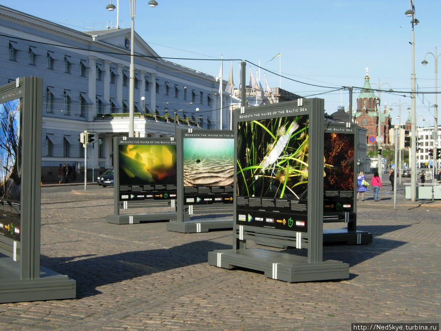 Уличная выставка Балтийское море в беде Хельсинки Финляндия