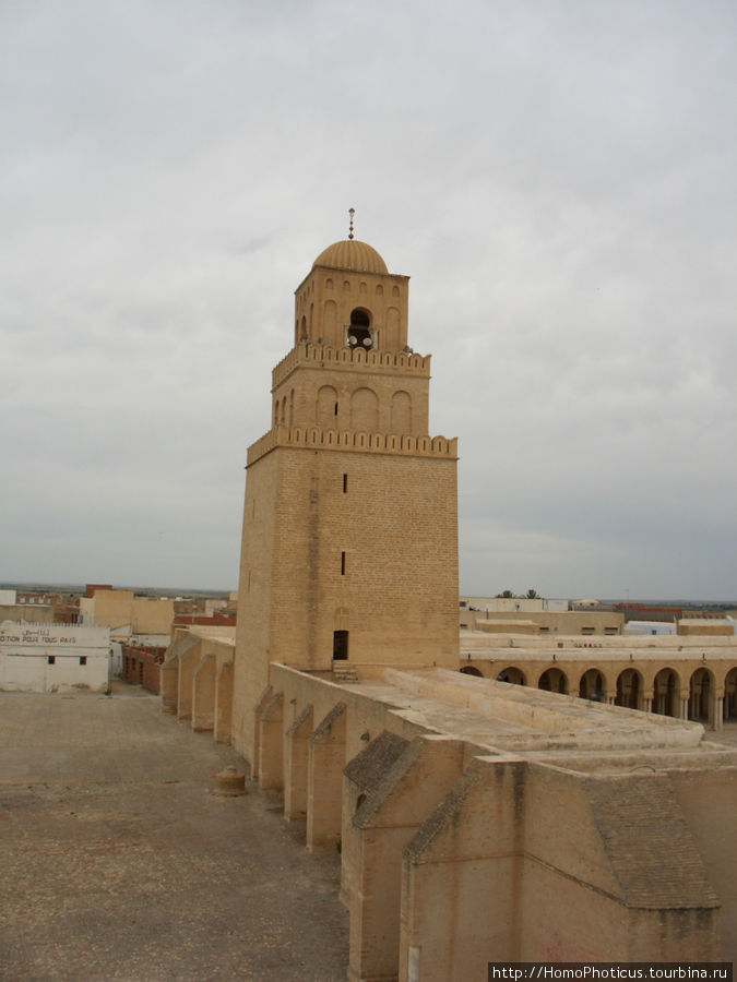 Кайруан Дуз, Тунис