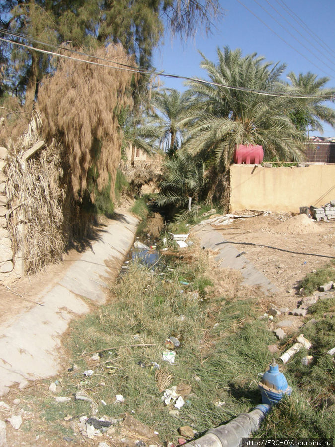 Оазис Ваха Провинция Кербела, Ирак