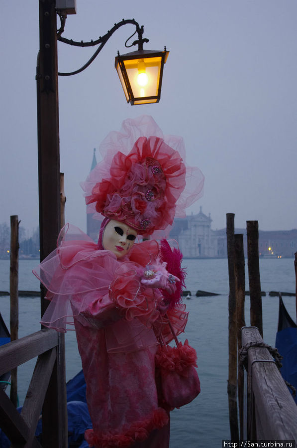 Розовый фламинго Венеция, Италия