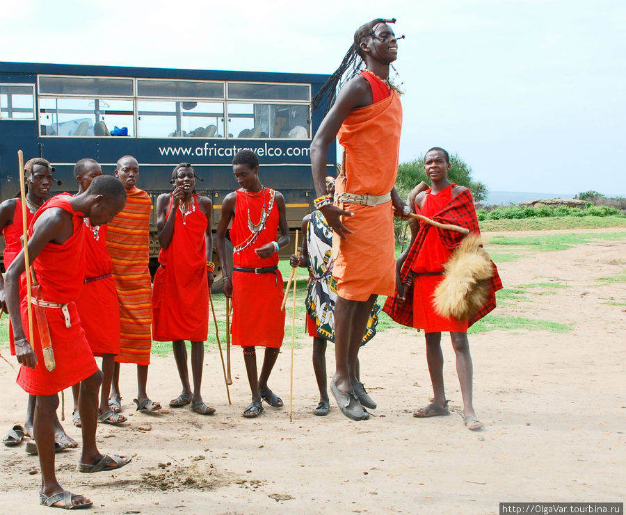 Прыгают масаи с места, не разбегаясь, что еще более удивительно, как им удается так высоко прыгать Масаи-Мара Национальный Парк, Кения