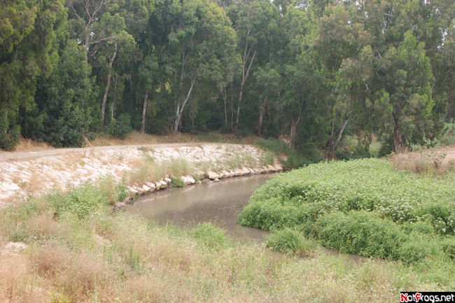 До сих пор не высохшие остатки реки Сорек Тель-Авивский округ, Израиль
