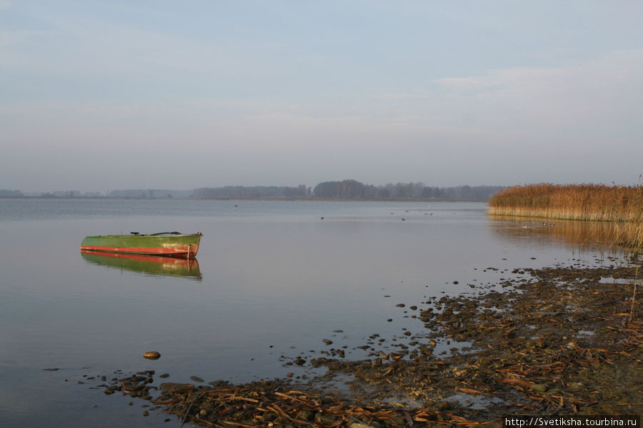 Раннее утро на берегу озера Томула Выру, Эстония