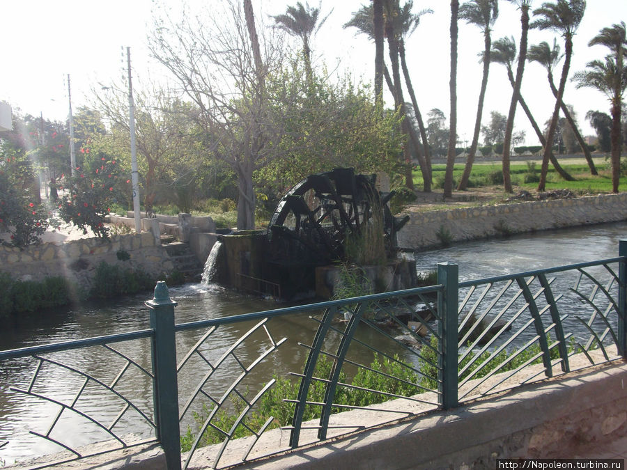Египетские водяные колеса Эль-Файюм, Египет