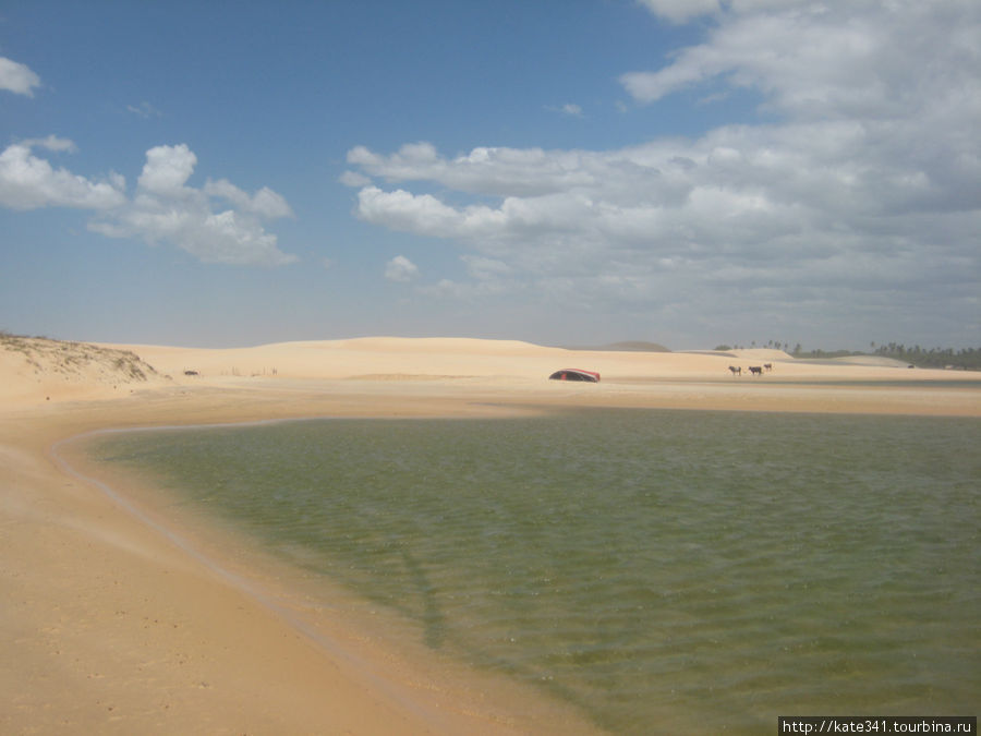 Жерикоакоара - пески и вода Жерикоакоара, Бразилия