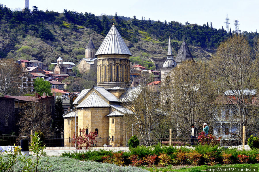 Кура в тбилиси фото