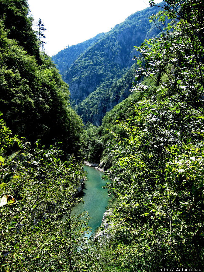 река Тара Жабляк, Черногория