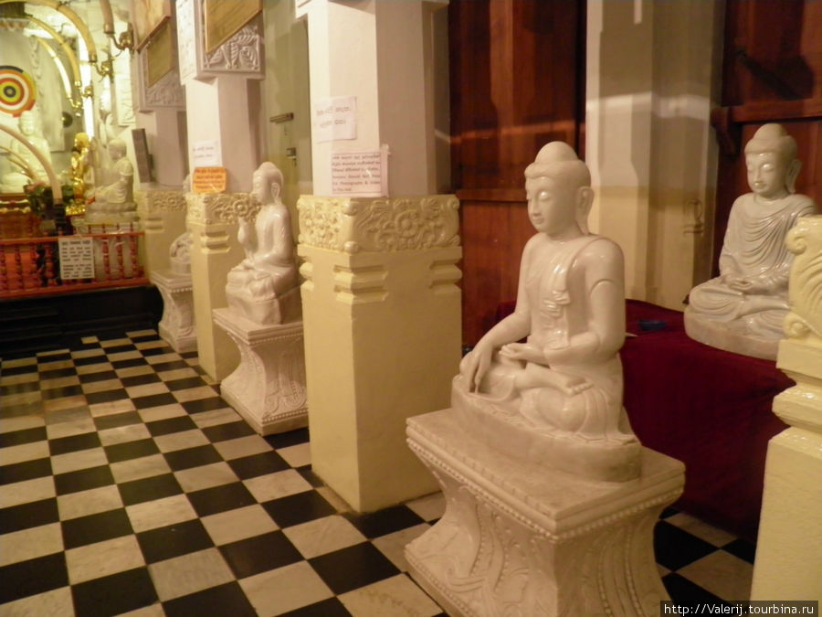 Обилие статуй Будды в различных позах Канди, Шри-Ланка