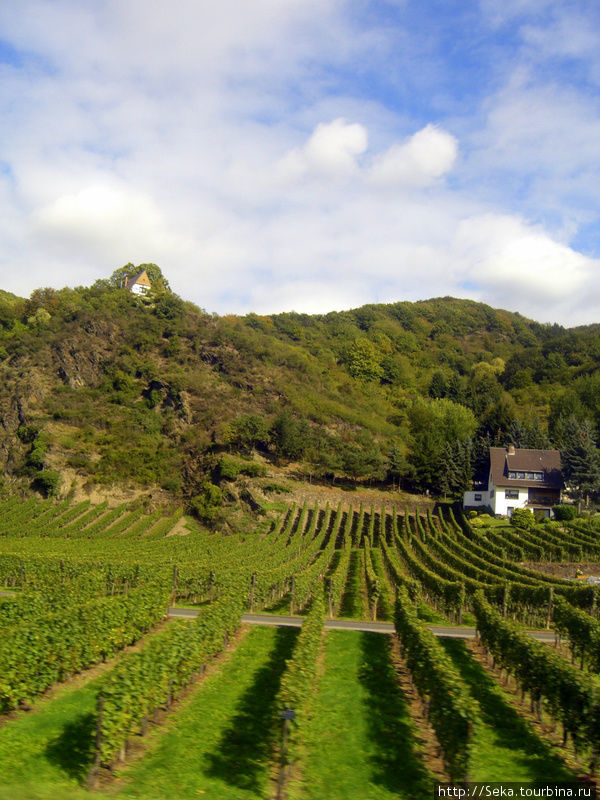 Проезжаем мимо виноградников (2011г.) Земля Рейнланд-Пфальц, Германия