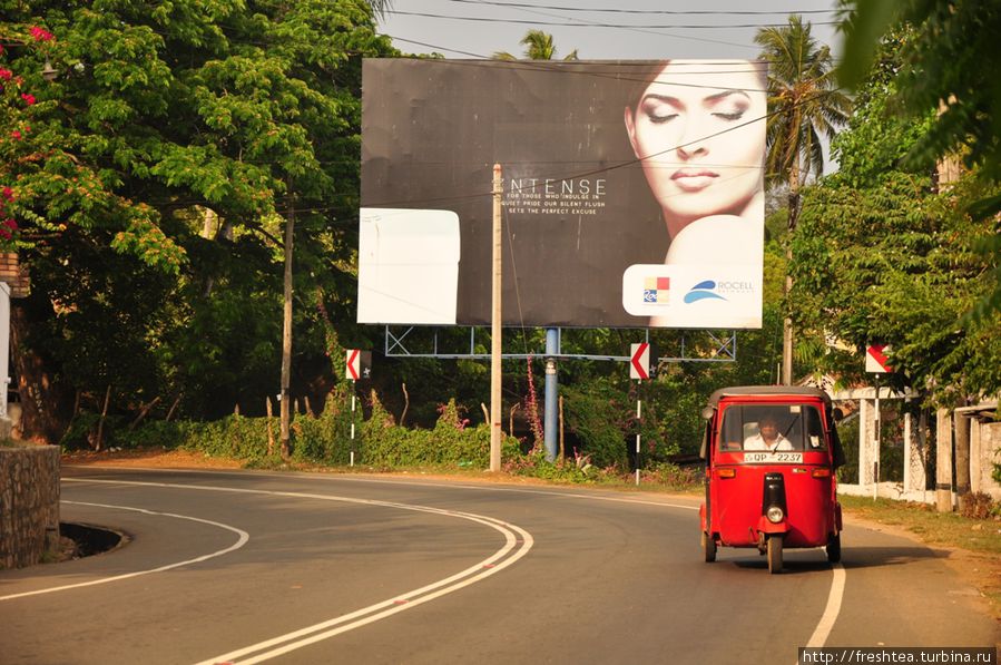 Вездесущий тук-тук и реклама ... и так на каждом повороте. Шри-Ланка