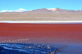 В необычный цвет поверхность озера окрашивают красные водоросли