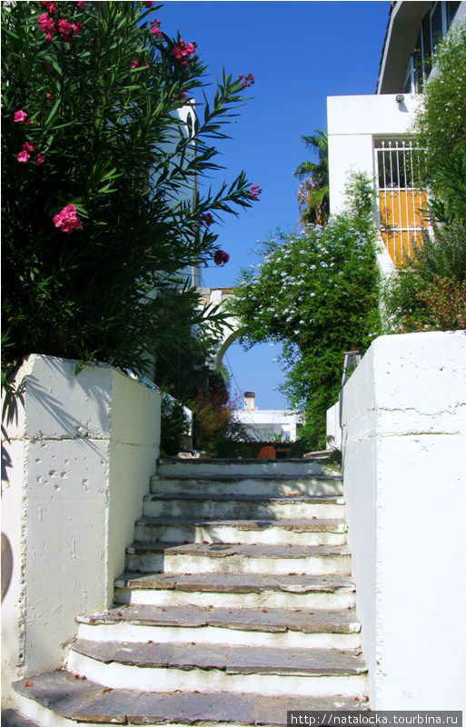 Мое большое греческое путешествие: Халкидики Полуостров Халкидики, Греция