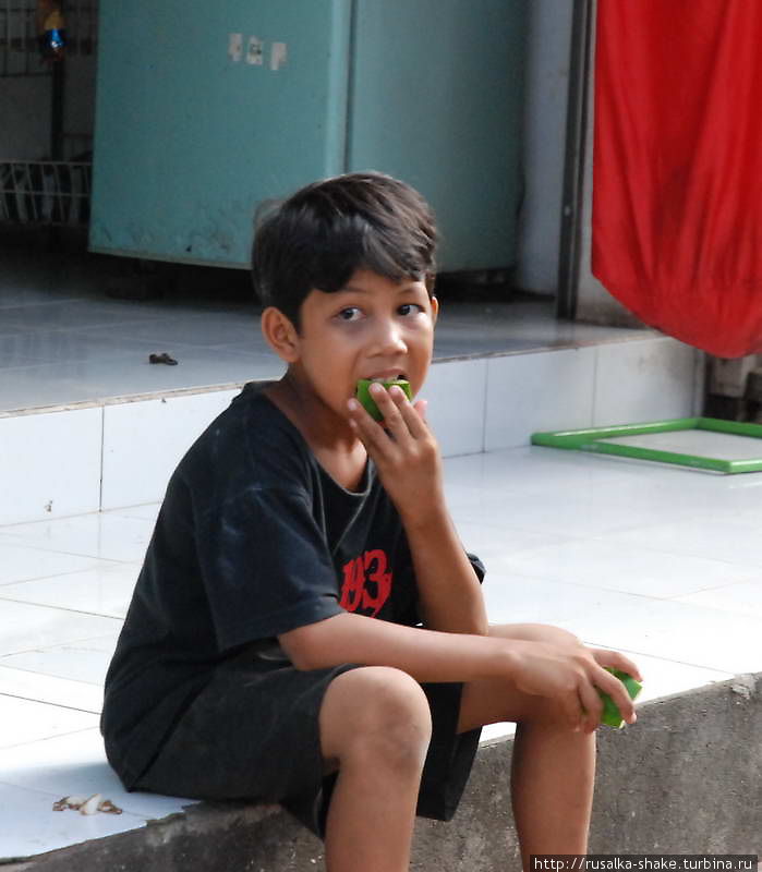 Дети Бали Бангли, Индонезия