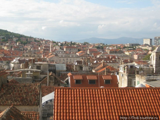 Красные крыши тянутся до горизонта Сплит, Хорватия