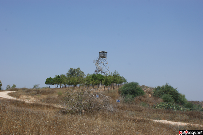 Вожделённая вышка Южный округ, Израиль