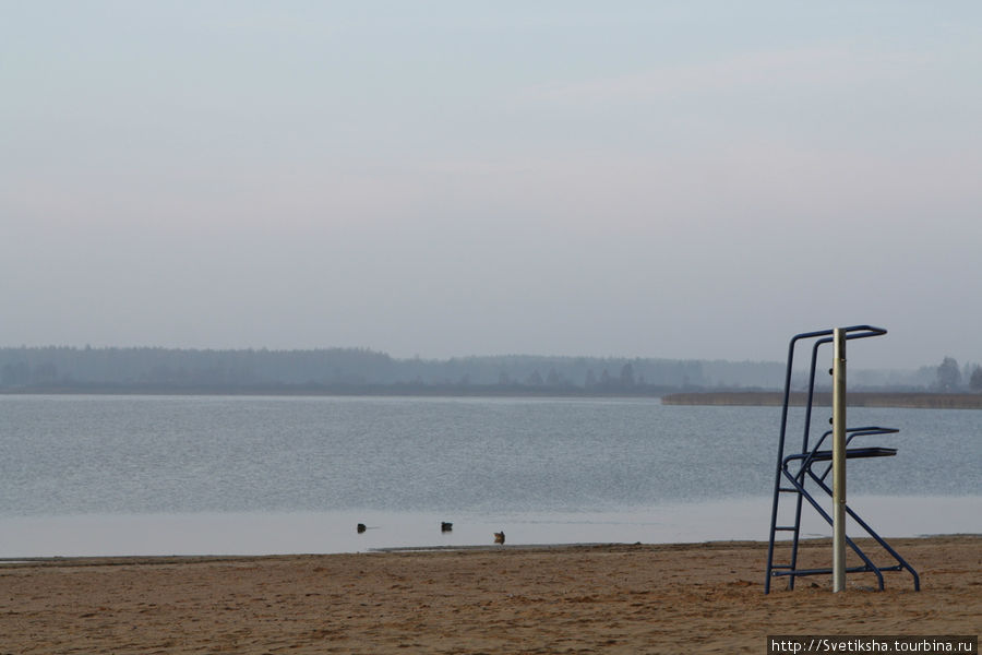 Раннее утро на берегу озера Томула Выру, Эстония