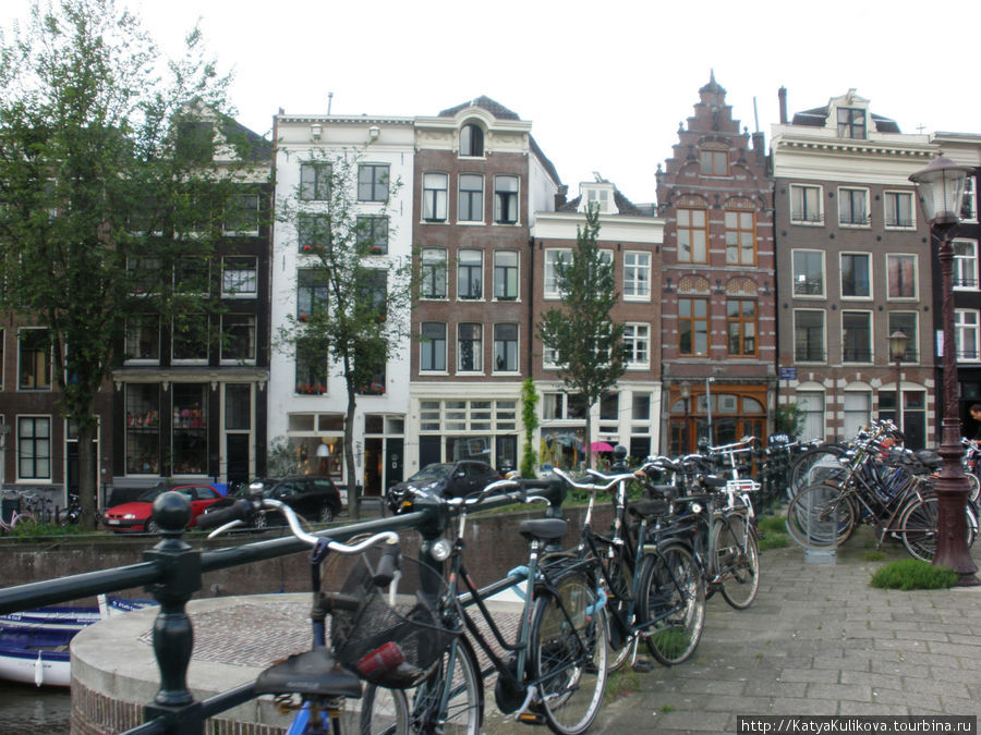 Могу смотреть на это вечно и все равно умиляться и вздыхать Амстердам, Нидерланды