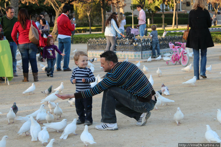 Севилья. Дети, голуби и площадь Америки Севилья, Испания