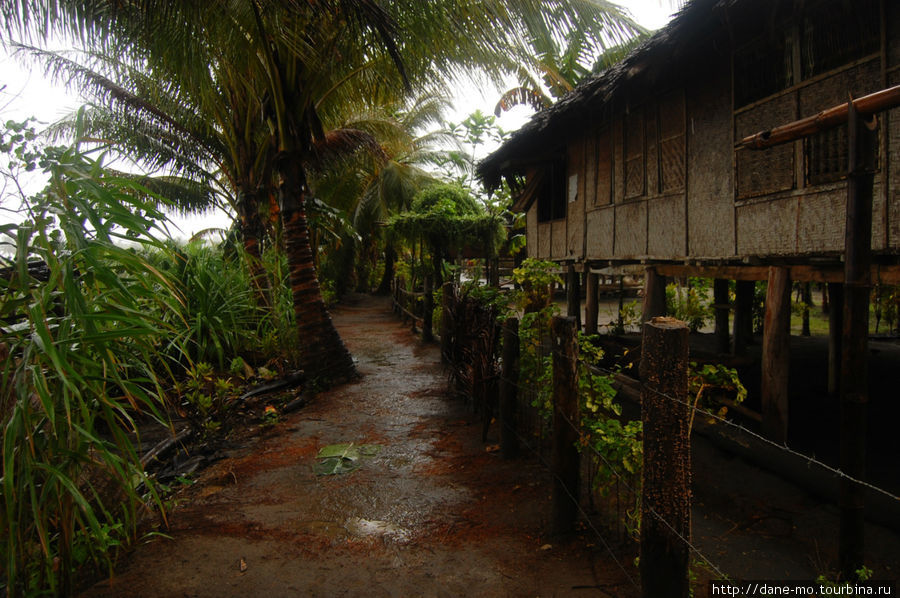 Деревня Тоаре Провинция Галф, Папуа-Новая Гвинея