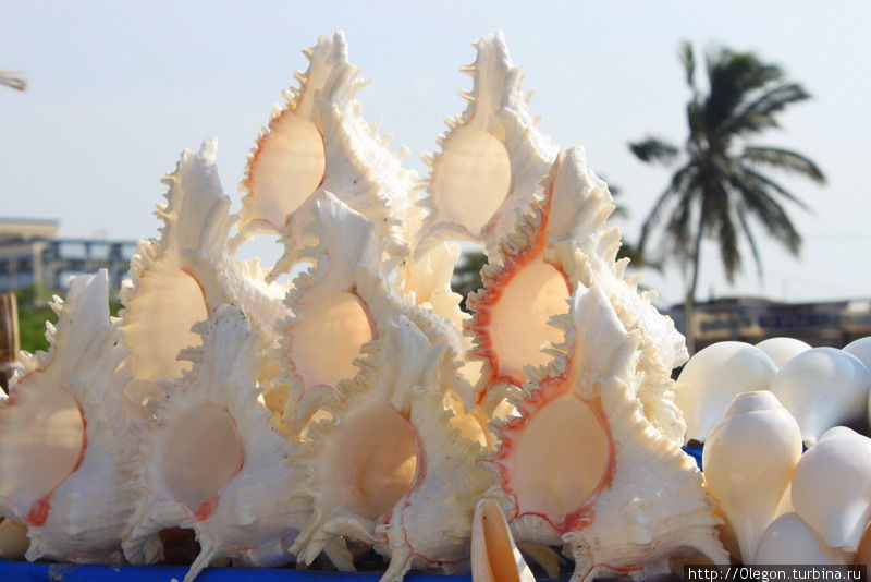 У моря продают ракушки за копейки Каньякумари, Индия