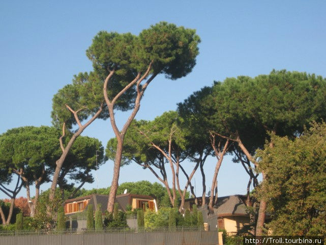 Удивительные деревья и коттеджи Рим, Италия