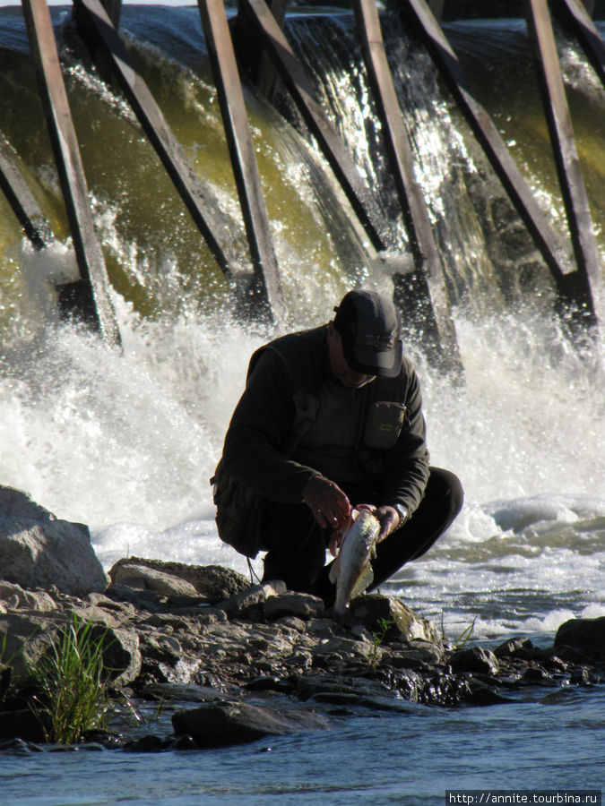 Рыбак с плотины потрошит улов. Белоомут, Россия