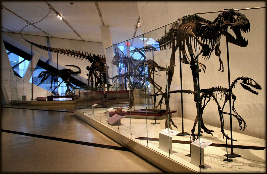Доисторические животные Королевского музея Онтарио