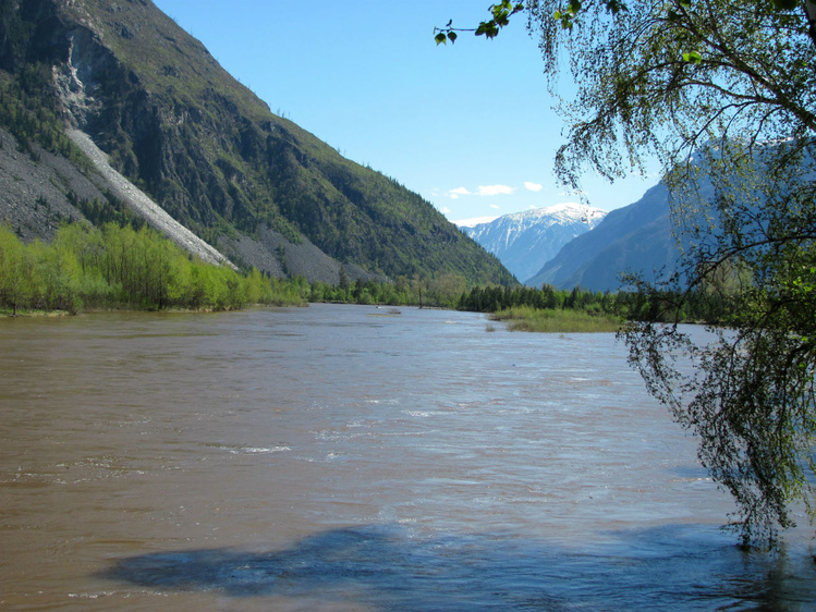 река Чулышман
