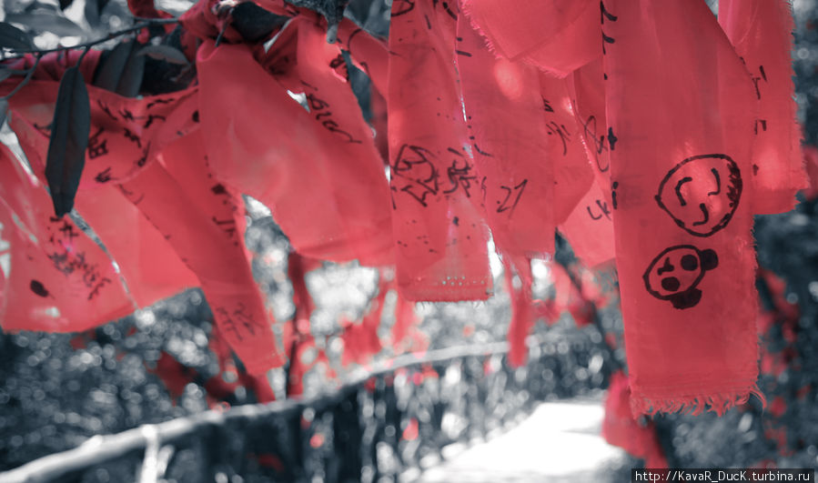 Красные ленточки, которые китайцы привязывают к деревьям, предварительно написав там пожелания