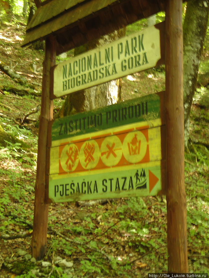 Национальный парк Биоградска гра Будва, Черногория